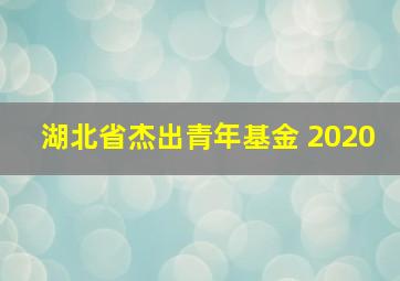 湖北省杰出青年基金 2020